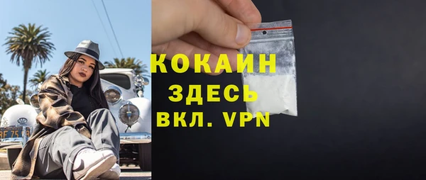 прущие грибы Верея
