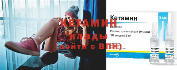 прущие грибы Верея