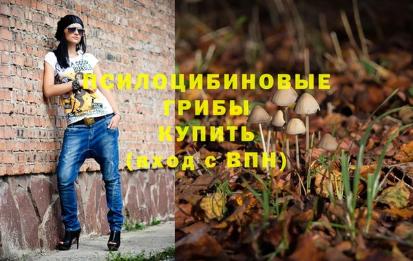 скорость Верхний Тагил