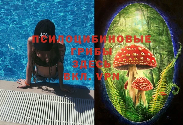 прущие грибы Верея