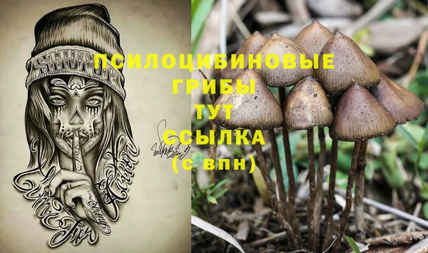 не бодяженный Тавда