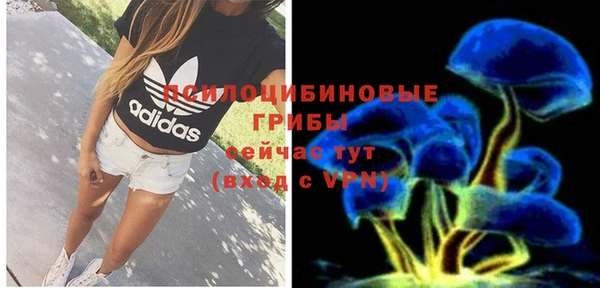 прущая мука Сясьстрой