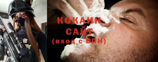 прущие грибы Верея